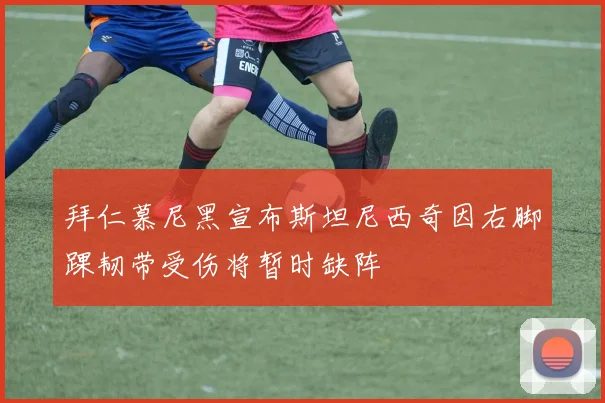 拜仁慕尼黑宣布斯坦尼西奇因右脚踝韧带受伤将暂时缺阵