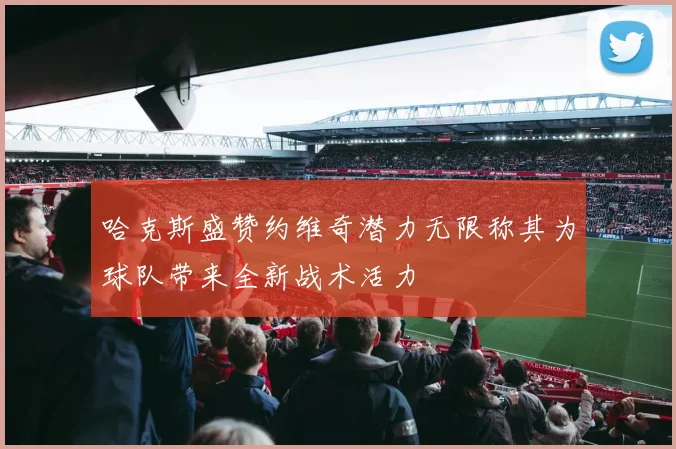 哈克斯盛赞约维奇潜力无限称其为球队带来全新战术活力