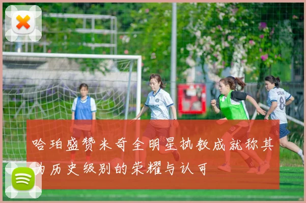 哈珀盛赞米奇全明星执教成就称其为历史级别的荣耀与认可
