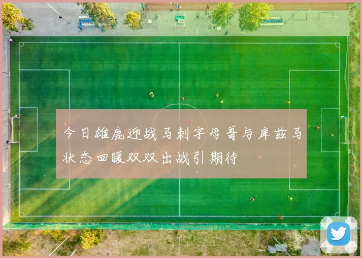 今日雄鹿迎战马刺字母哥与库兹马状态回暖双双出战引期待