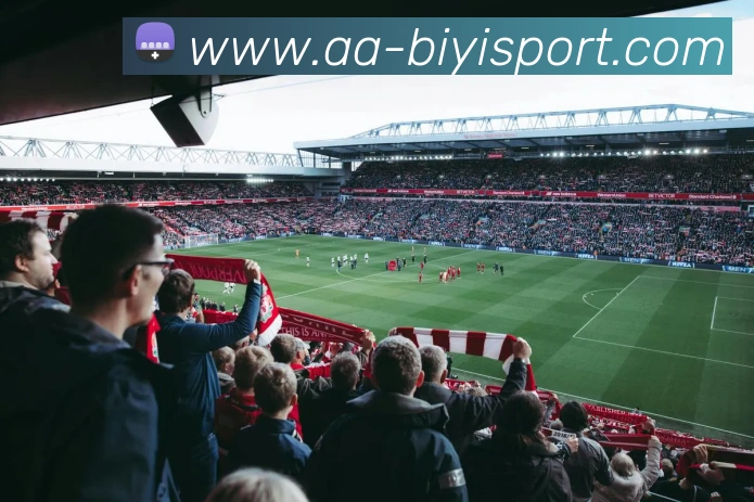 必一运动平台生态图