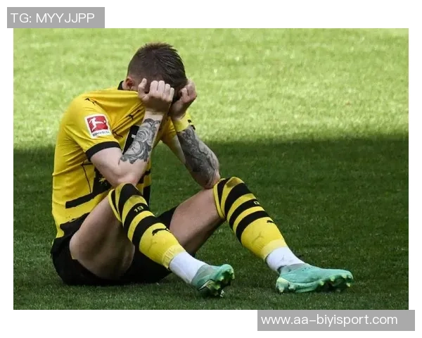 罗伊斯力挺布兰特留队多特未来合作前景可期